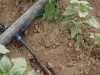 63 mm Kangal Boru  100 mt 10 atü Alıcı Öder Kargo - Thumbnail (6)